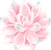 Elegant Watercolor Pink Succulent